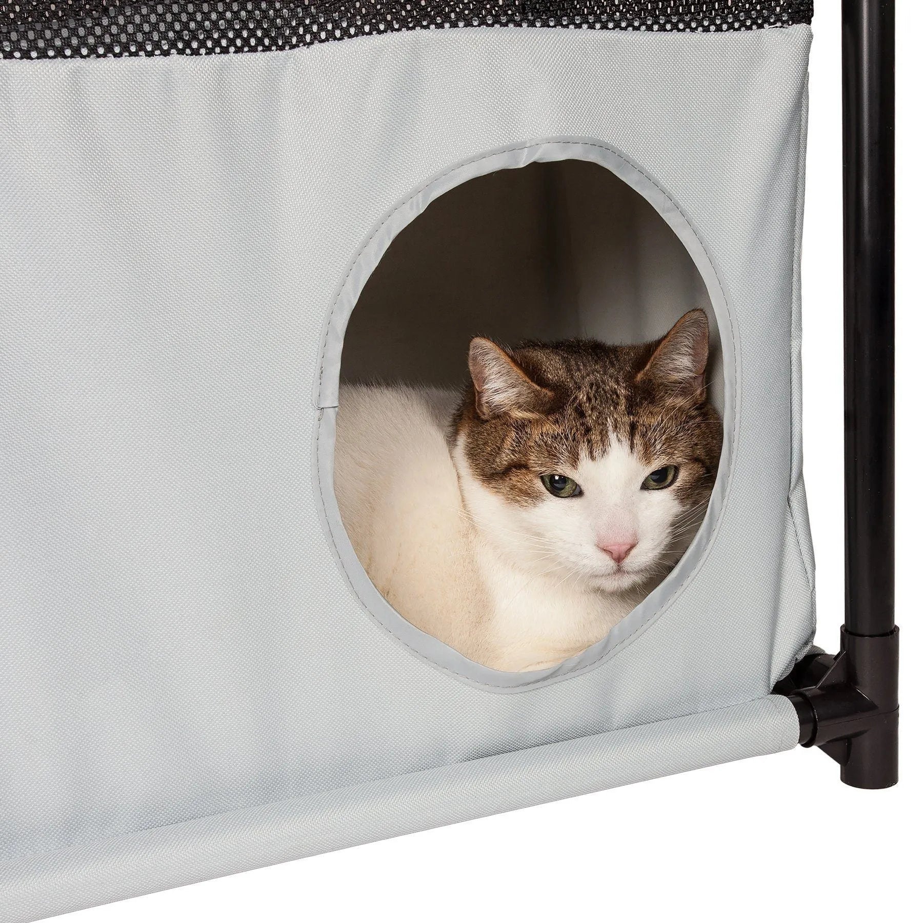 Kitty-Square Collapsible Travel Cat Tree by Purrfect Pet Kingdom® in black, perfect for active felines, ideal for travel and small spaces.