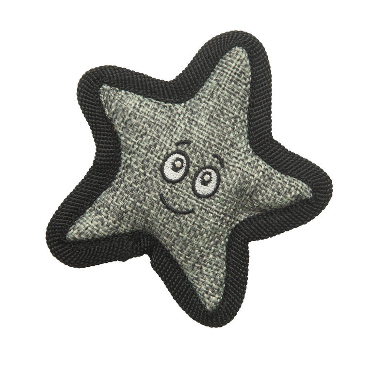 Kitty Starfish With Catnip - Purrfect Pet Kingdom