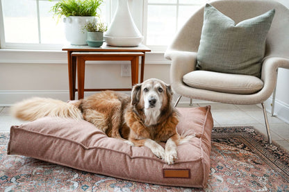 Dog Bed Lounger Orthopedic Memory Foam Pittie Pink ✅