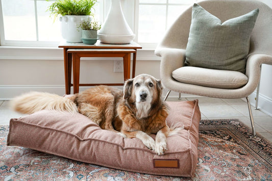 Dog Bed Lounger Orthopedic Memory Foam Pittie Pink ✅