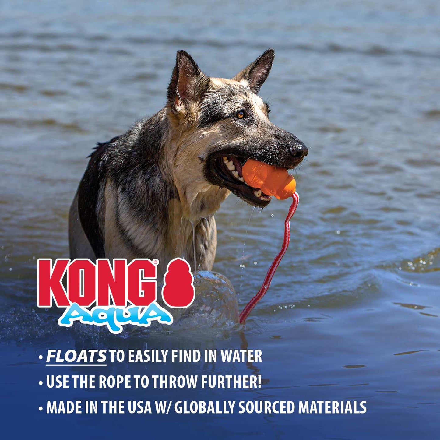 KONG Aqua Floating Water toy | Purrfect Pet Kingdom