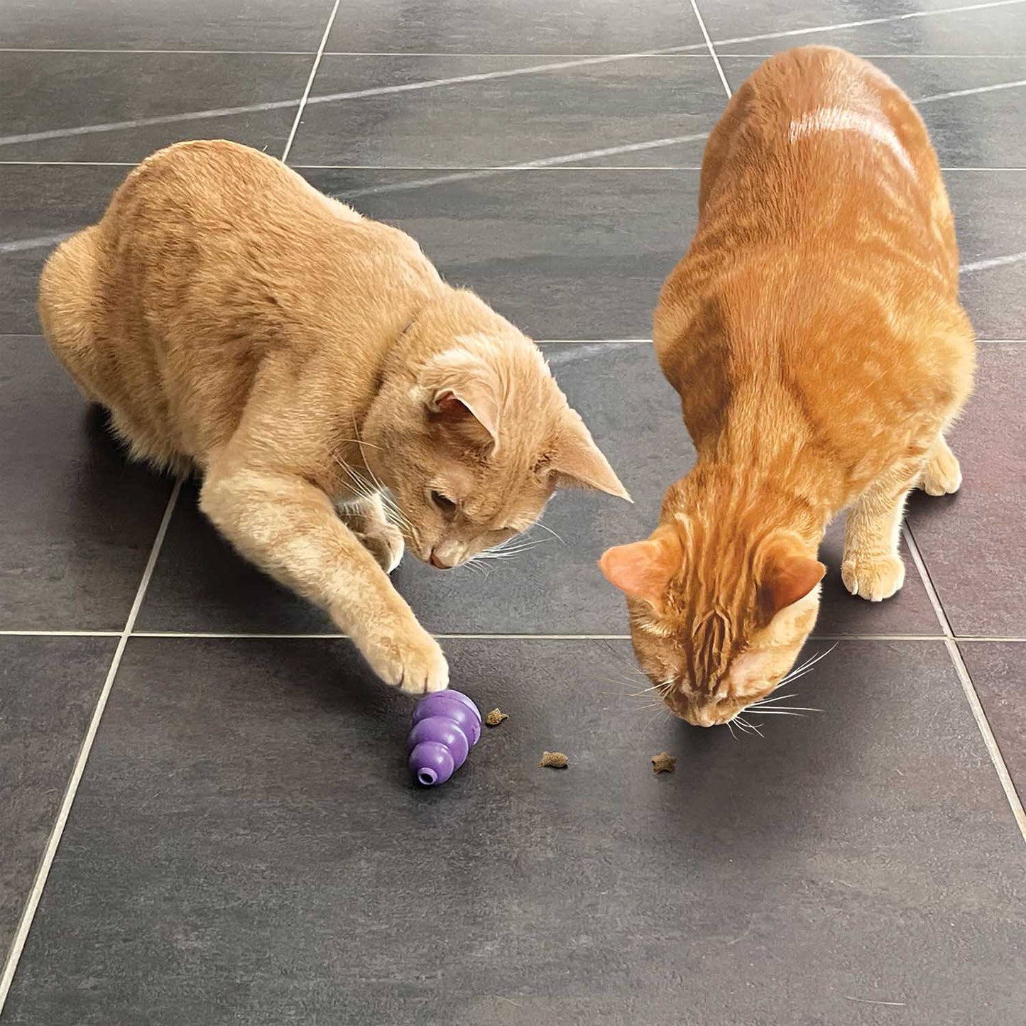 KONG Cat Nibbies, 2 oz Cat Toy | Purrfect Pet Kingdom