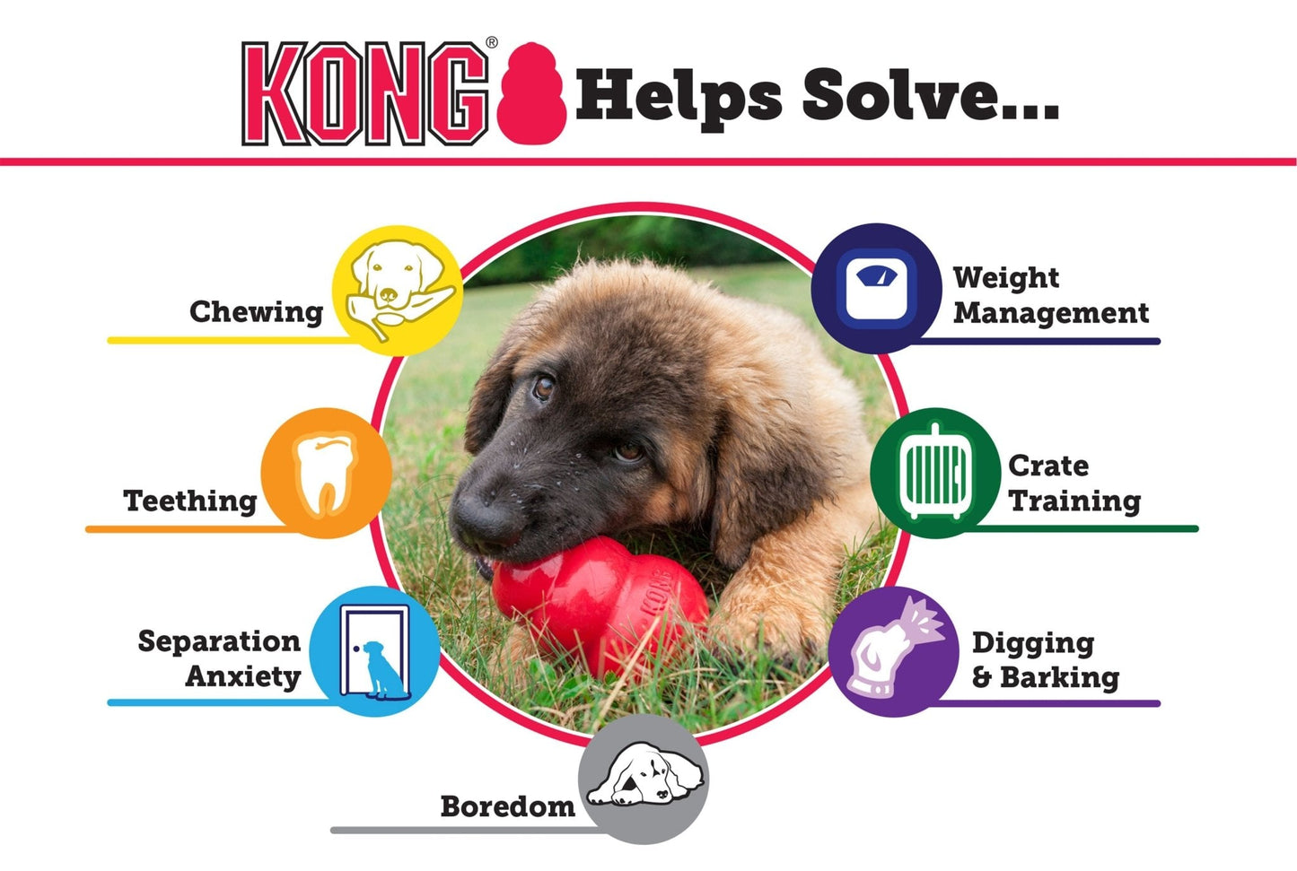 KONG Classic toy | Purrfect Pet Kingdom