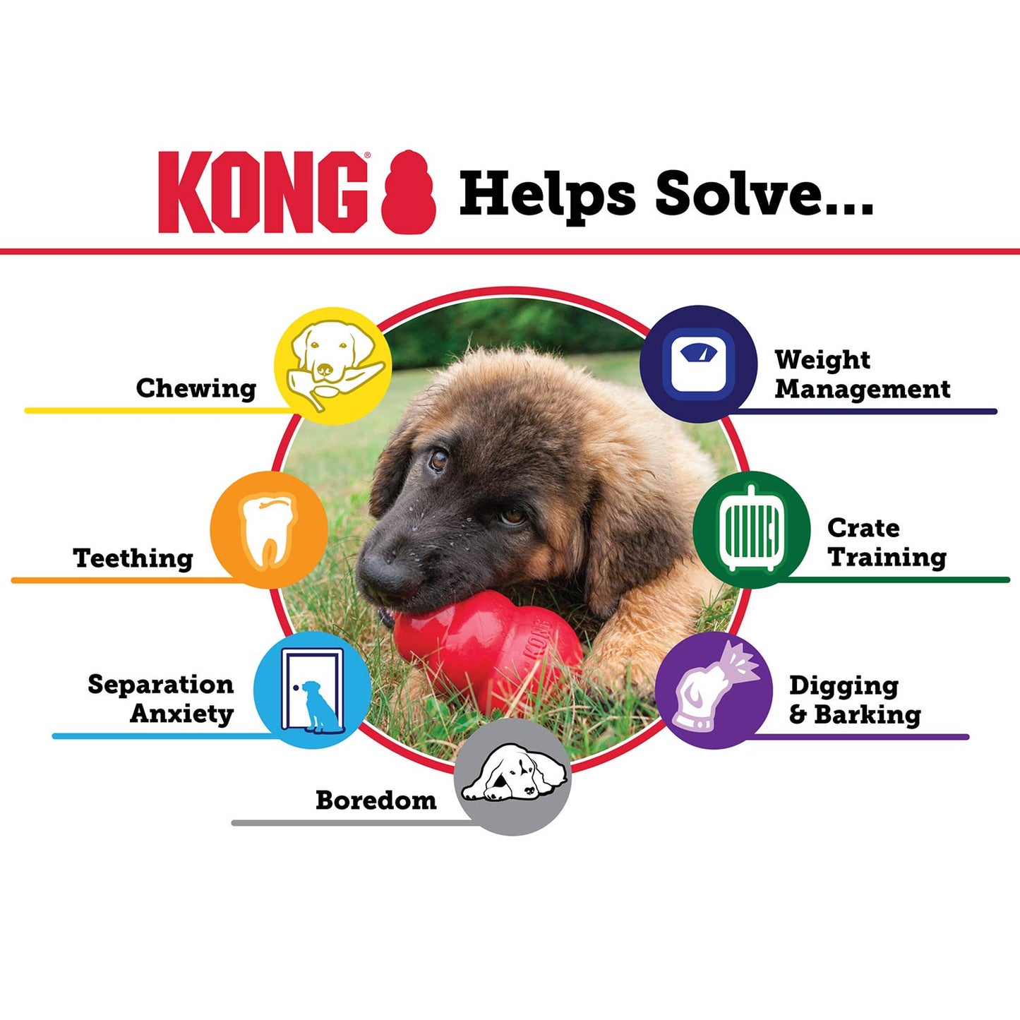 KONG Classic toy | Purrfect Pet Kingdom