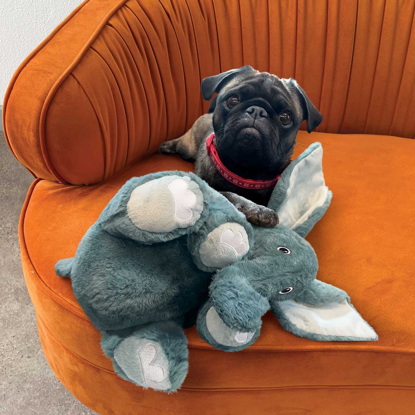 KONG Comfort Kiddos Jumbo Elephant, XL toy | Purrfect Pet