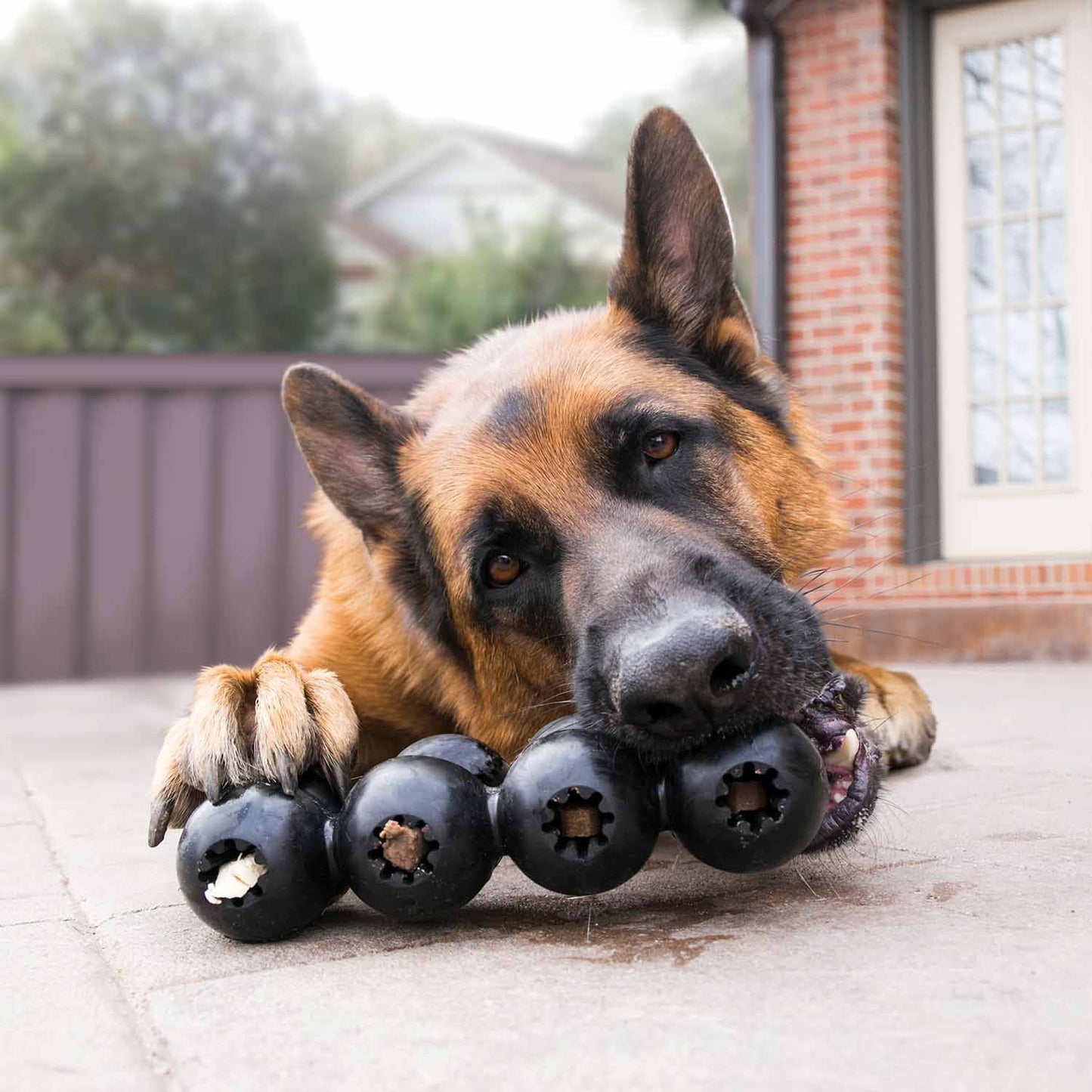 KONG Extreme Goodie Ribbon Dog Chew Toy toy | Purrfect Pet
