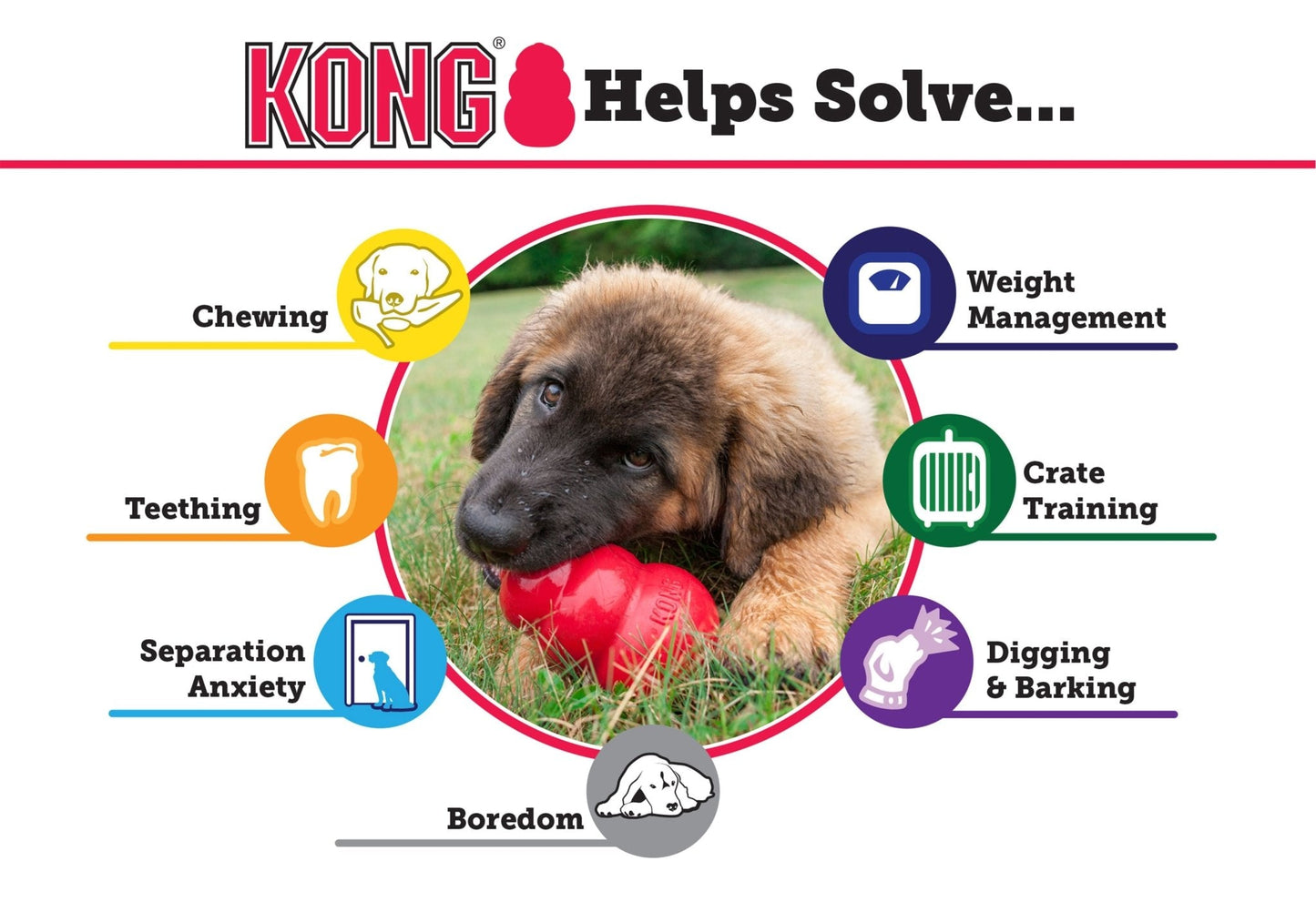 KONG Extreme Treat-Stuffing toy for Power Chewers | Purrfect