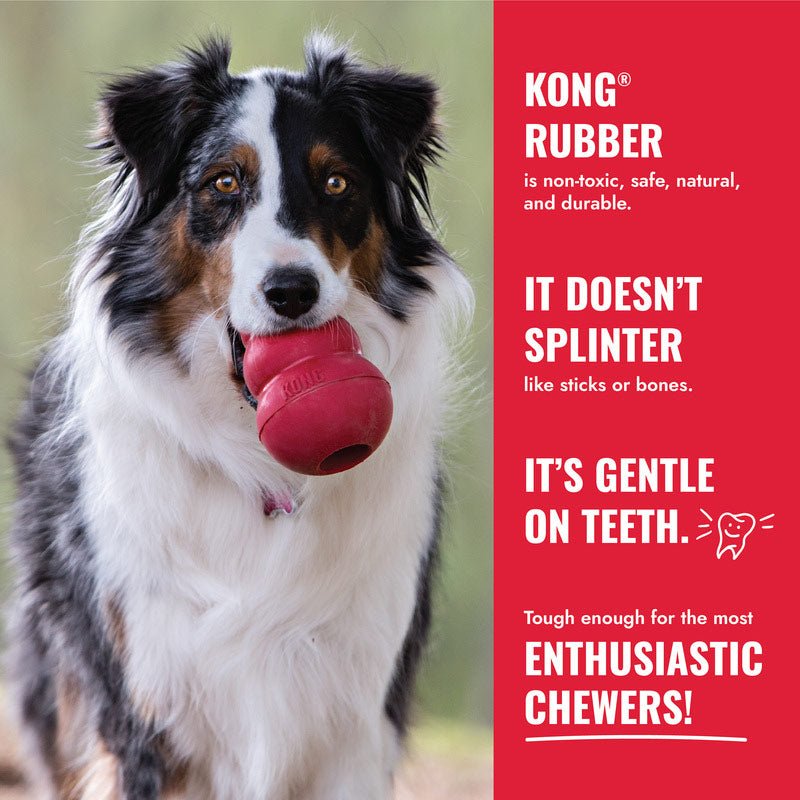 KONG Goodie Bone Rubber Dog Chew Toy, Medium toy | Purrfect