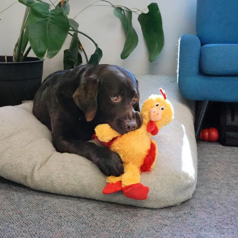 Kong Knots Chicken plush dog toy by The Family Pet, available in medium/large and extra large, features a soft, tan exterior.