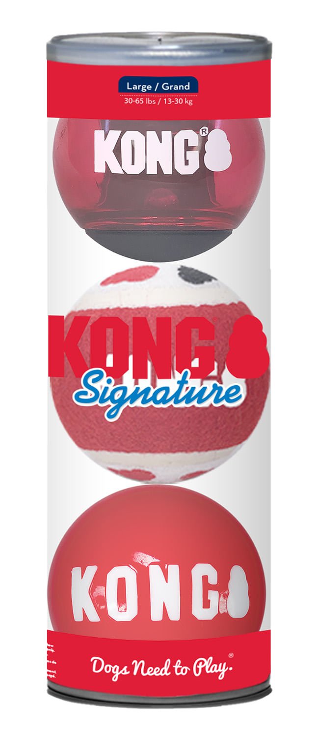 KONG Signature Fetch toy Balls, Multi-Pack | Purrfect Pet