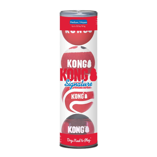 KONG Signature Fetch toy Balls, Multi-Pack | Purrfect Pet