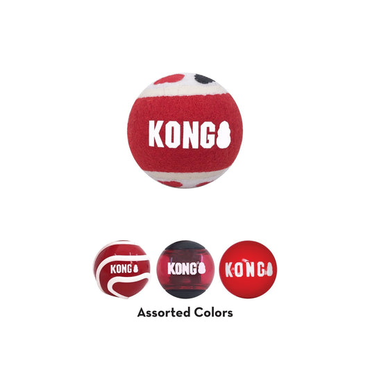 KONG Signature Fetch toy Balls, Multi-Pack | Purrfect Pet