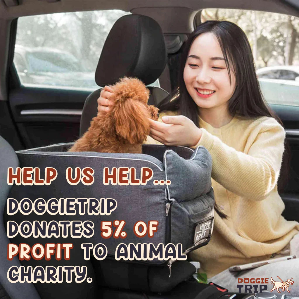 Safety Car Seat For Small Pets - Car Crates - Mimarta