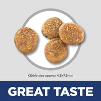 Hill's Science Diet Adult Perfect Weight Chicken Recipe Dry Dog Food Bag