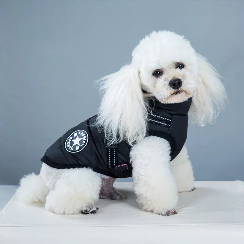 LadyShow.Store - Waterproof Dog Clothes Winter Dog Coat With Harness Warm Pet Clothing Big Dog Jacket Chihuahua Labrador C...