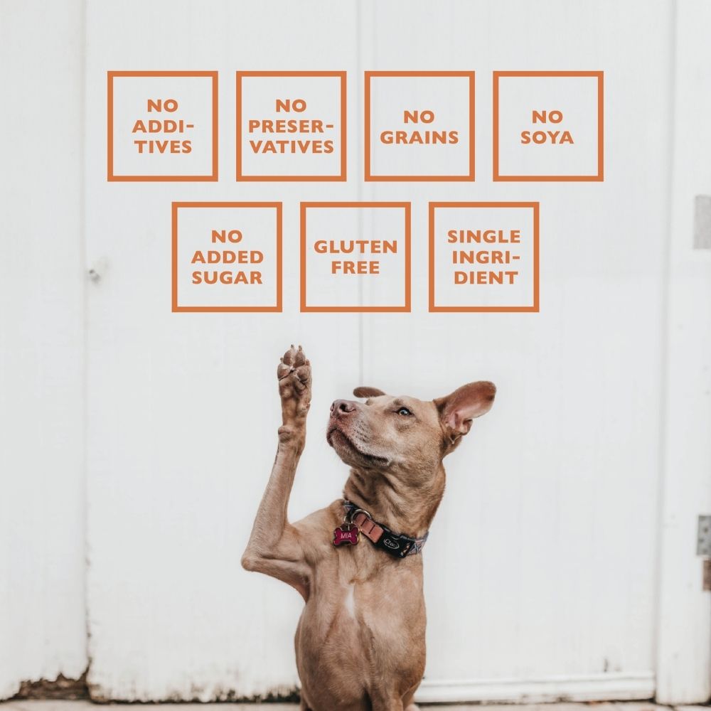 Dog Treats BAFFS NATURALS All-Natural Lamb Pizzle Chews 8oz - gallery product image for dog treats