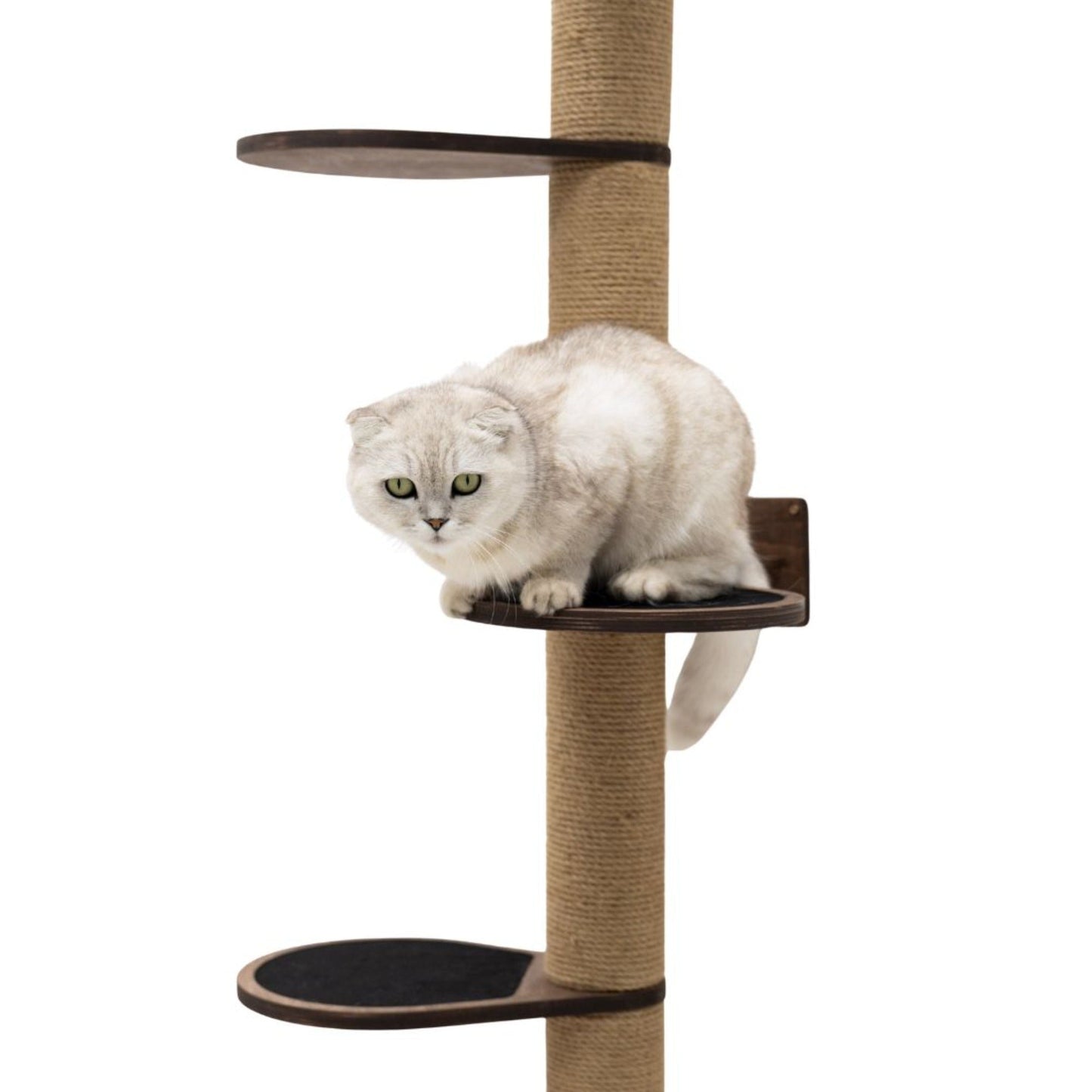 Large Cat Tree – Dark Walnut