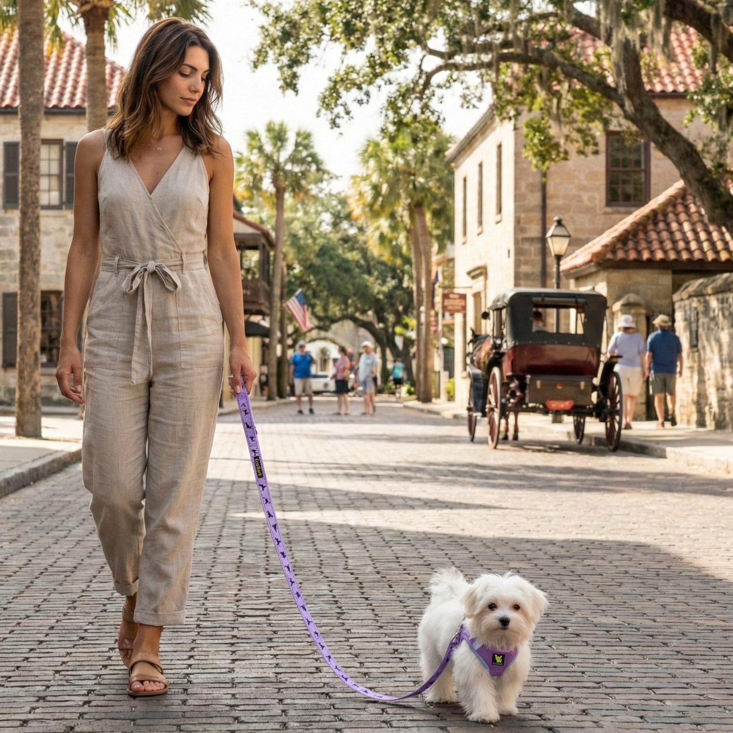 Dog Harness EcoBark Step In Harness XXXS to Small Breeds- - lifestyle product image for dog harness