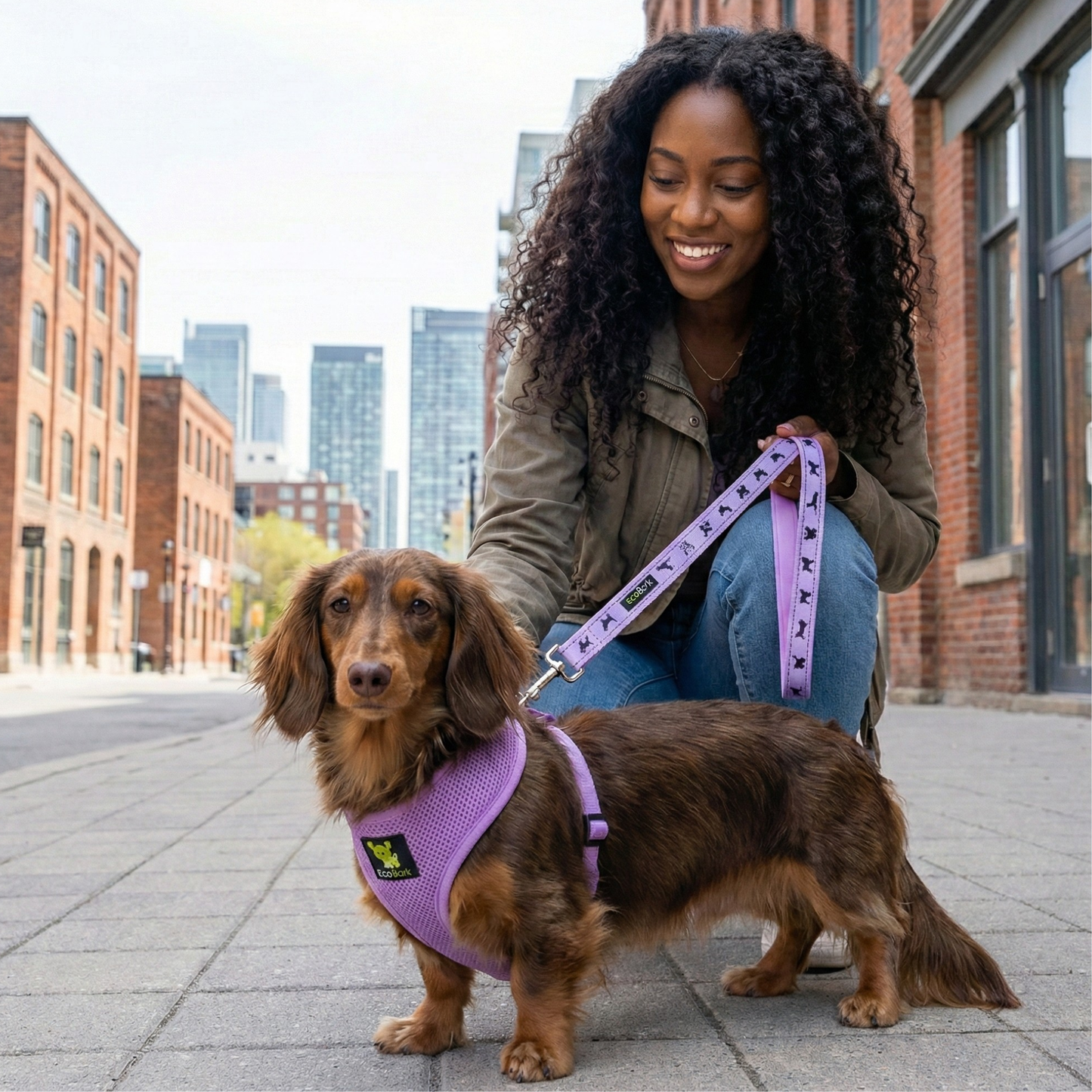 Dog Harness EcoBark Lavender Harness Over-the-Head Soft Mesh - detail product image for dog harness