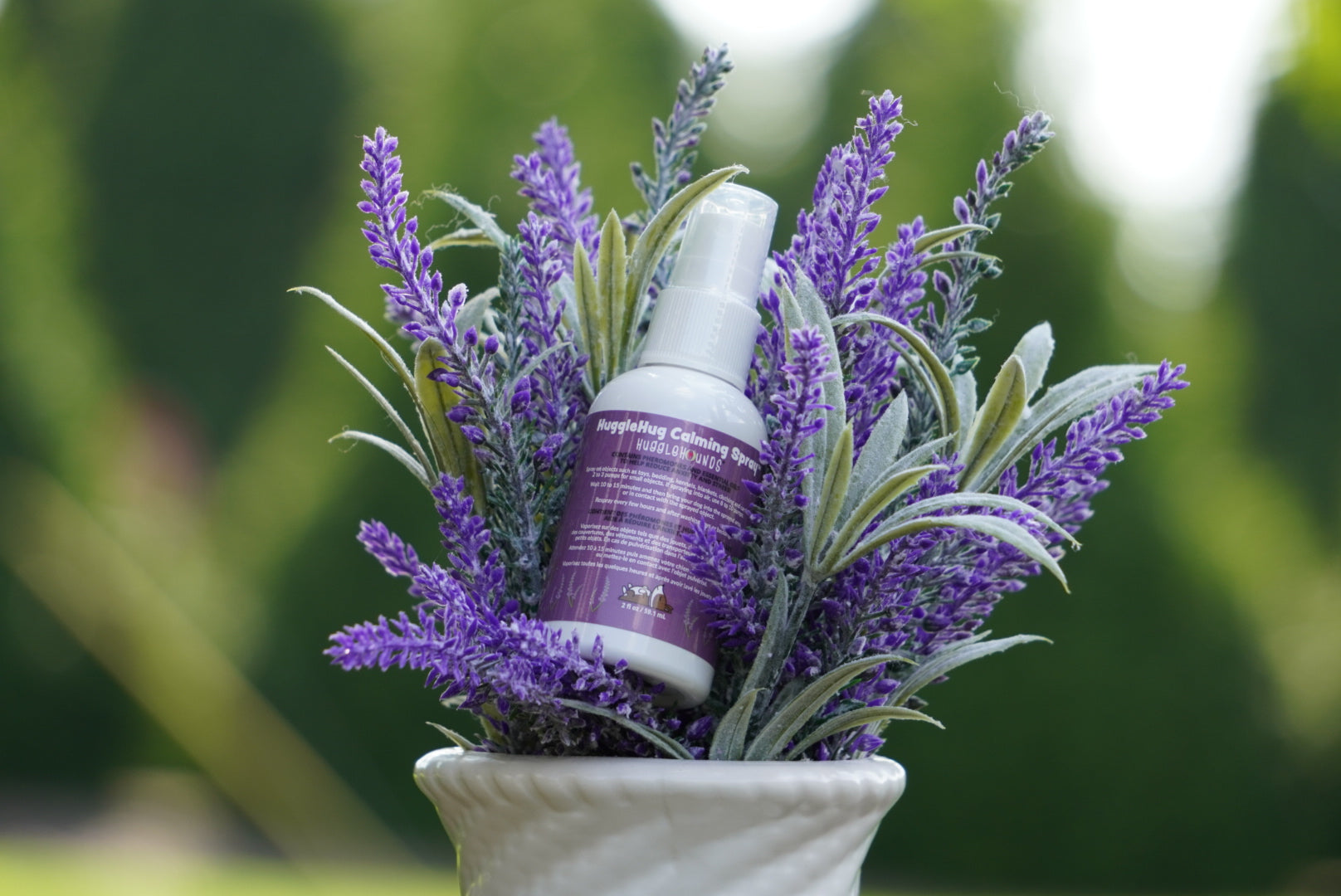 Pet Supply HuggleHug Lavender Calming Spray 2oz for Comfort - lifestyle product image for pet supply