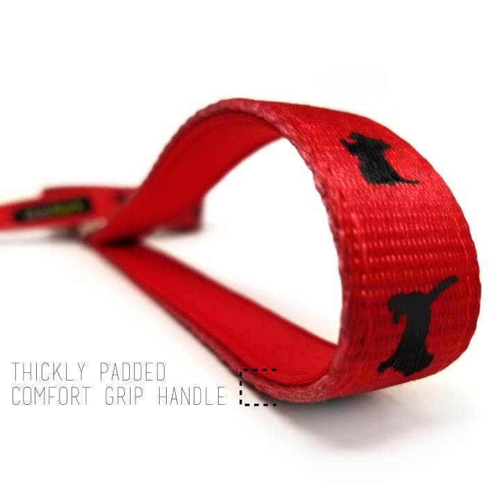 Eco Style Dog Leash for Daily Walks for Royal Pet Homes - Dog Leash view 16 from Purrfect Pet Kingdom