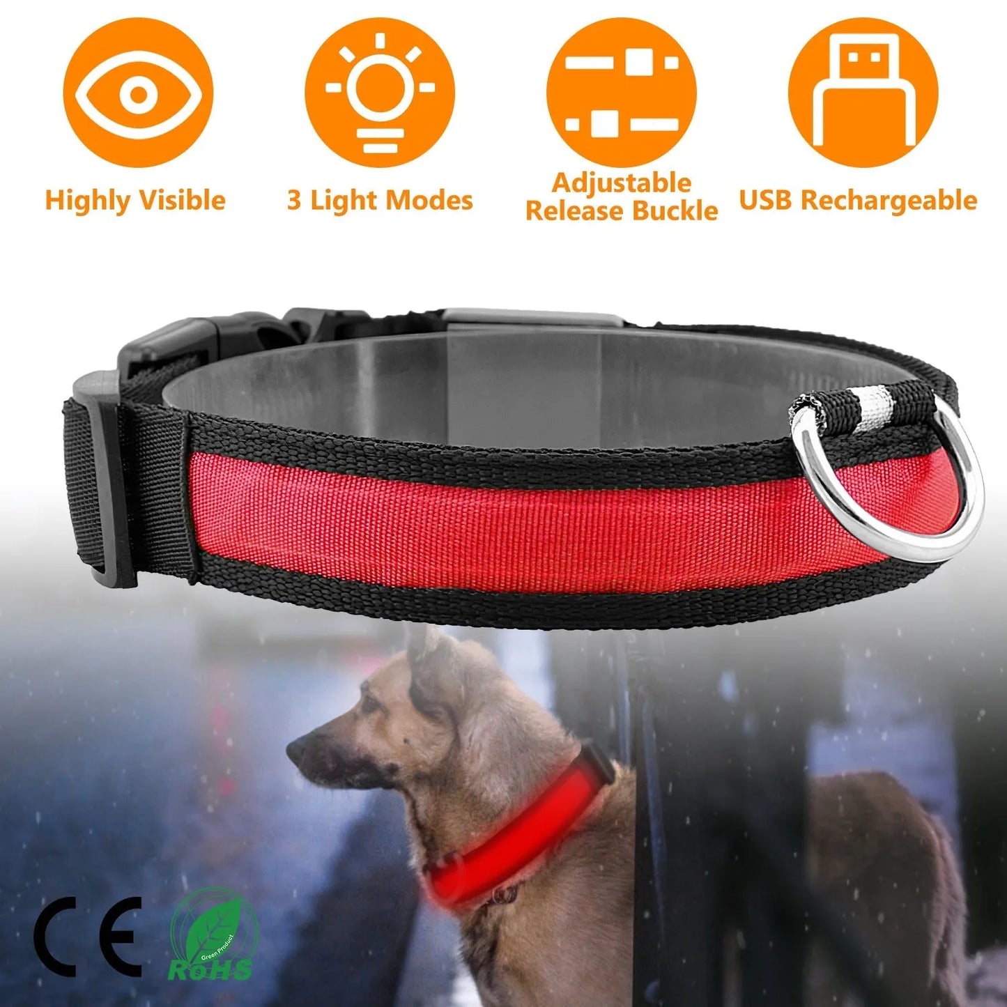 LED Dog Collar by GBruno Store, USB rechargeable, adjustable, luminous light-up collar in vibrant color, perfect for night...