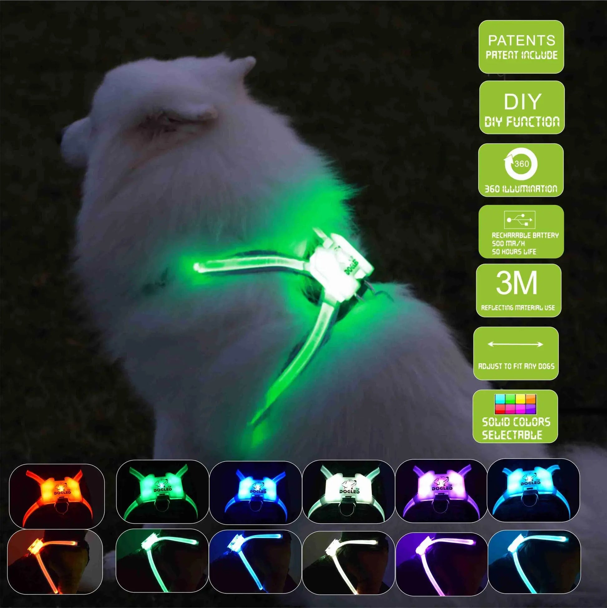 Purrfect Pet Kingdom LED Dog Collar - USB Rechargeable Light-Up Safety Accessory Purrfect Pet Kingdom