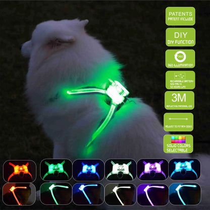 LED dog collar USB rechargeable in green light on white dog with multiple color options from Purrfect Pet Kingdom