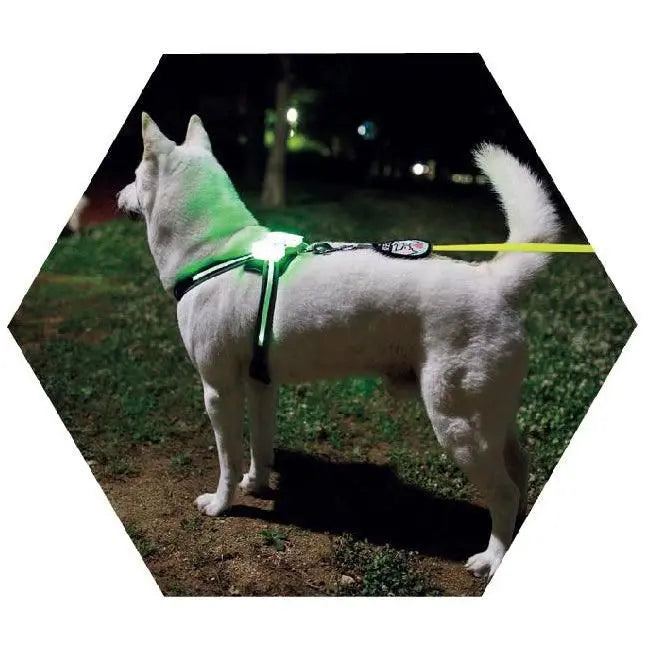 Purrfect Pet Kingdom LED Dog Collar - USB Rechargeable Light-Up Safety Accessory Purrfect Pet Kingdom
