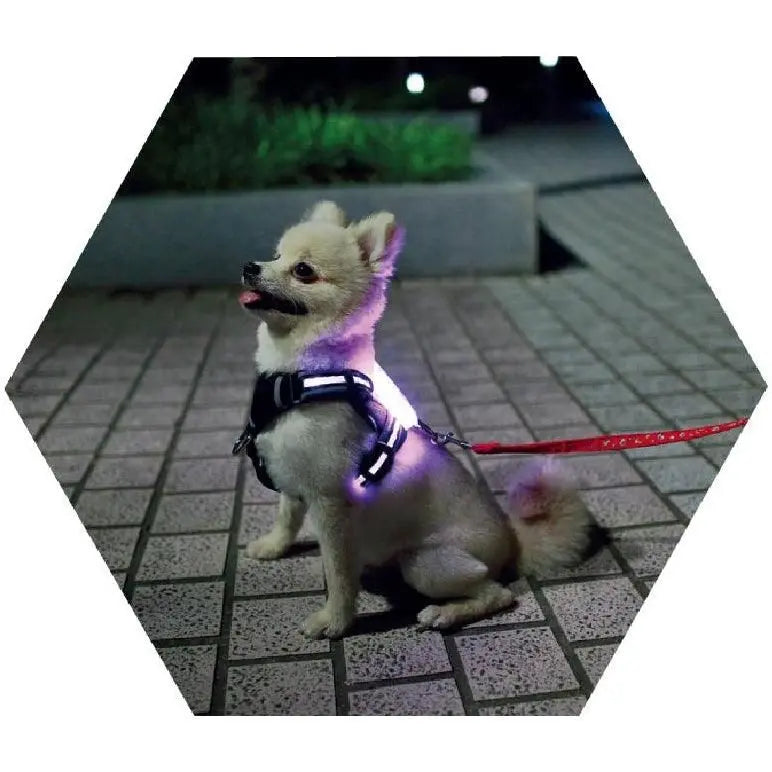 Purrfect Pet Kingdom LED Dog Collar - USB Rechargeable Light-Up Safety Accessory Purrfect Pet Kingdom