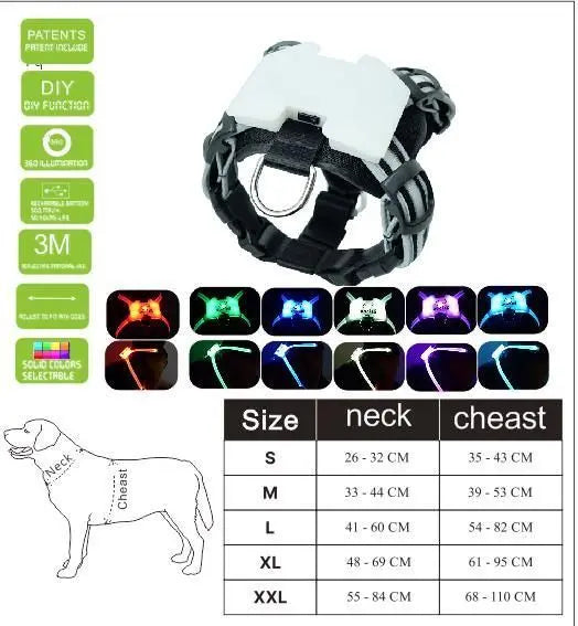 Purrfect Pet Kingdom LED Dog Collar - USB Rechargeable Light-Up Safety Accessory Xl Purrfect Pet Kingdom