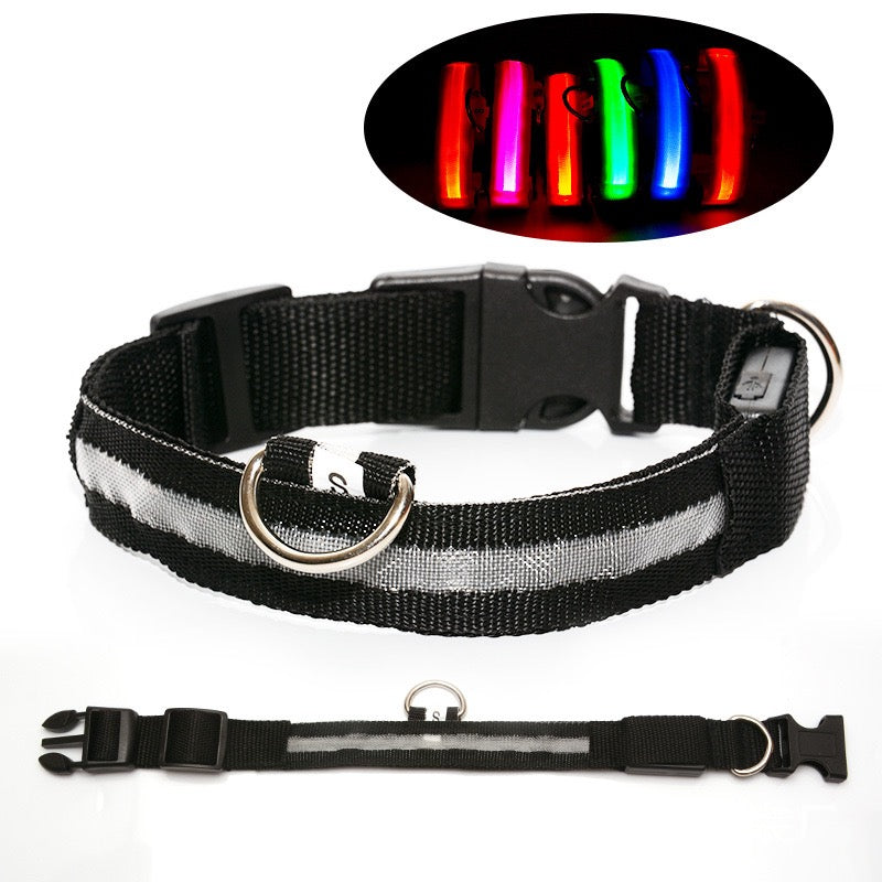 Purrfect Pet Kingdom LED glowing pet collar with adjustable buckle and reflective strip for safety