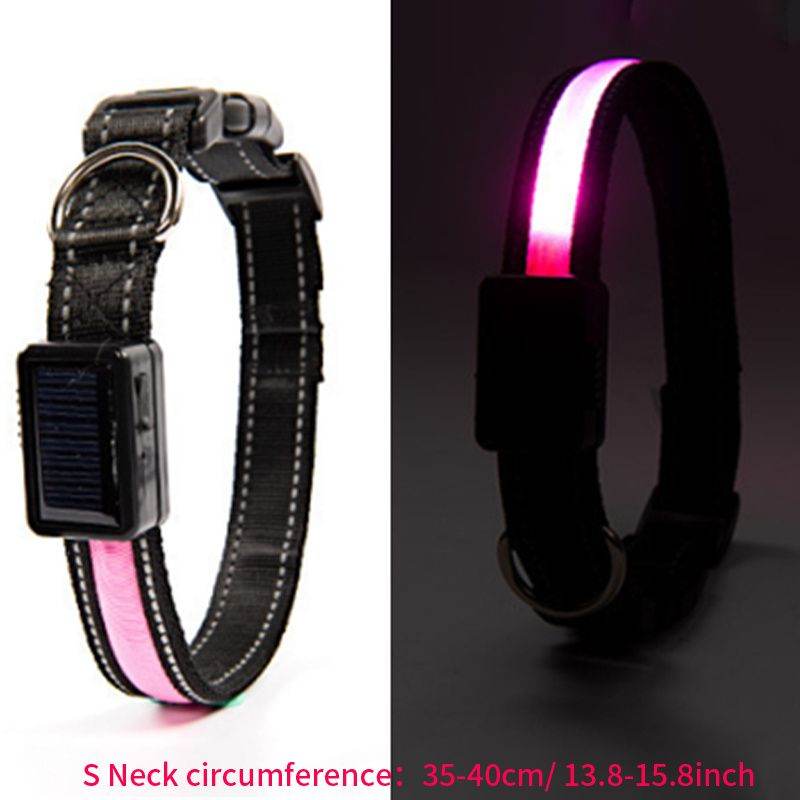 Purrfect Pet Kingdom LED Light Up Collar for Nighttime Walks S Pink Purrfect Pet Kingdom