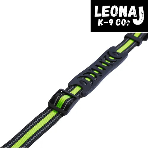 LeonaJ K-9 Co.? | LJM American Brand | LeonaJmarie - Bungee Dog Leash for Hands-Free Running and Hiking by LeonaJ - Dog Le...