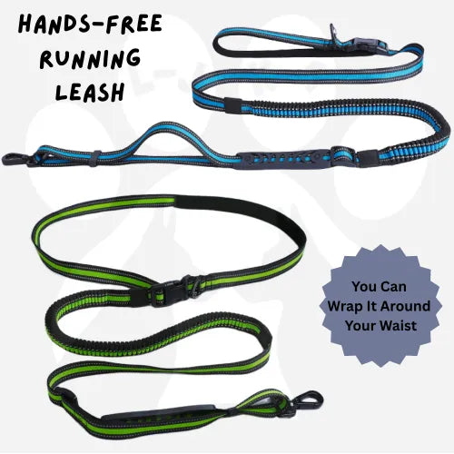 LeonaJ K-9 Co.? | LJM American Brand | LeonaJmarie - Hands-Free Running/Hiking Bungee Leash - Dog Leashes