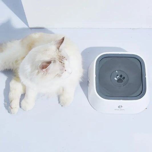 Your Pet Floating Water Bowl - Ameraeon