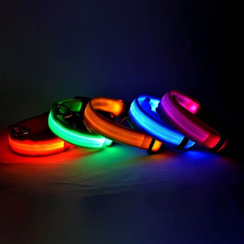 Purrfect Pet Kingdom Light Up Pet Collar for Nighttime Walks Purrfect Pet Kingdom