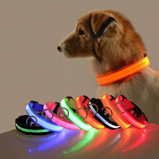Purrfect Pet Kingdom Light Up Pet Collar for Nighttime Walks S Pink Purrfect Pet Kingdom