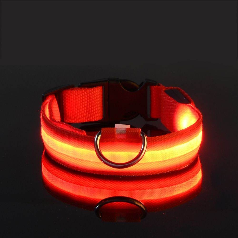 Purrfect Pet Kingdom Light Up Pet Collar for Nighttime Walks Purrfect Pet Kingdom