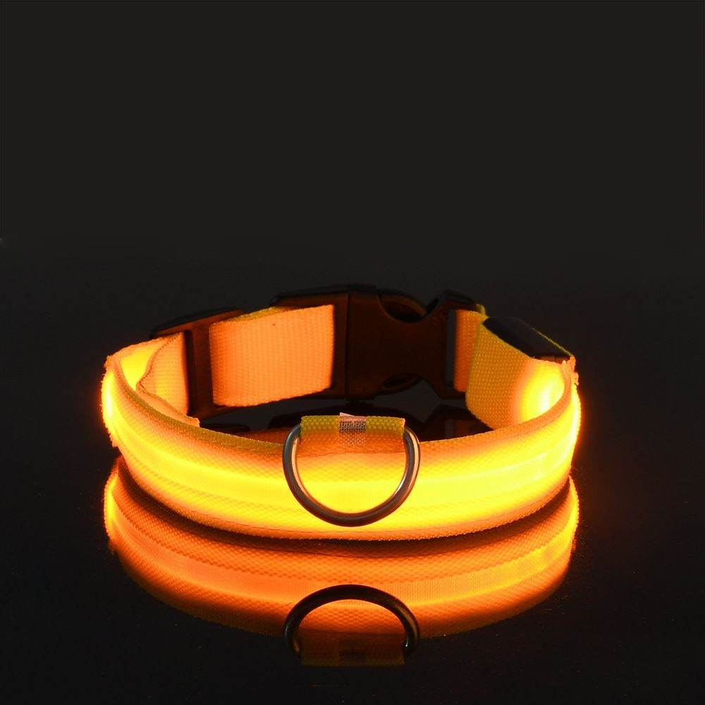 Purrfect Pet Kingdom Light Up Pet Collar for Nighttime Walks Purrfect Pet Kingdom