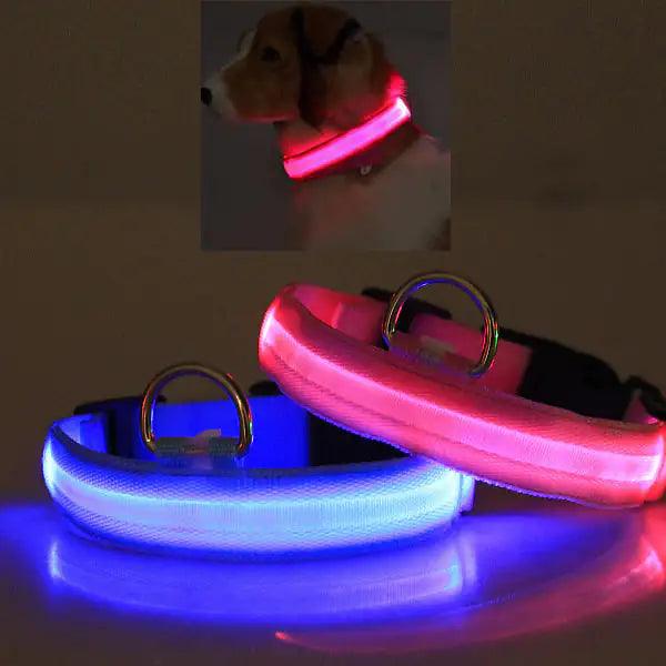 Bright LED MANDOTOS light-up safety collar for pets in blue and pink for nighttime visibility