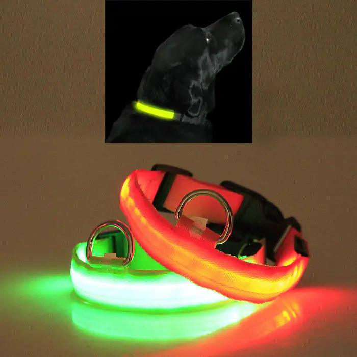 MANDOTOS light-up safety collar for pets with LED lights in red and green for nighttime visibility