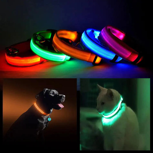 MANDOTOS light-up safety collar for pets in vibrant colors for nighttime visibility and safety