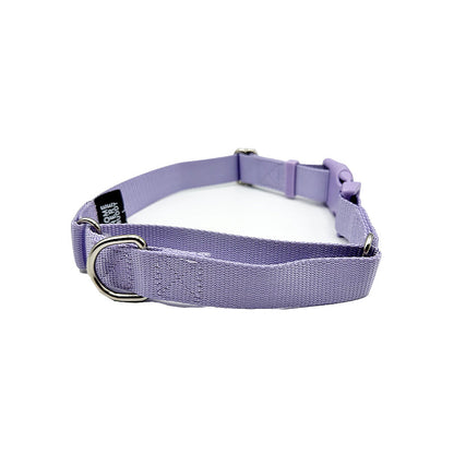 Durable Martingale Dog Collar with Quick Release Nylon Safety