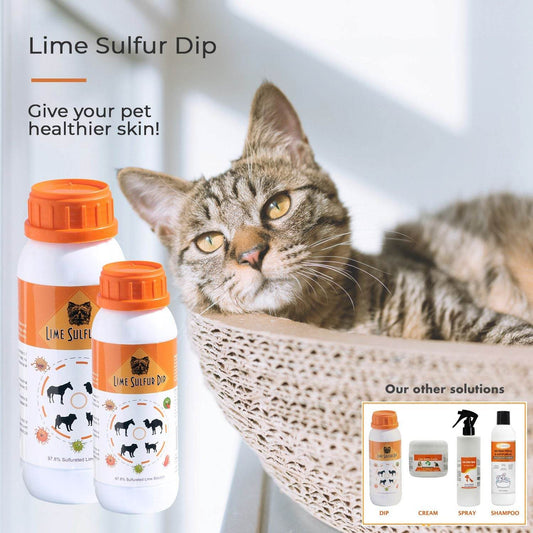 Purrfect Pet Kingdom Pet Antiparasitic Treatment Solution Purrfect Pet Kingdom