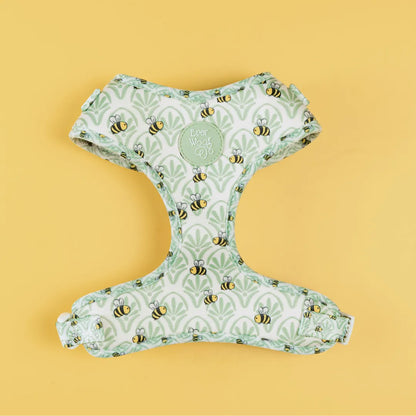 Little Honey Adjustable Dog Harness by Purrfect Pet Kingdom in vibrant color, available in X-Small, Small, and Medium sizes.