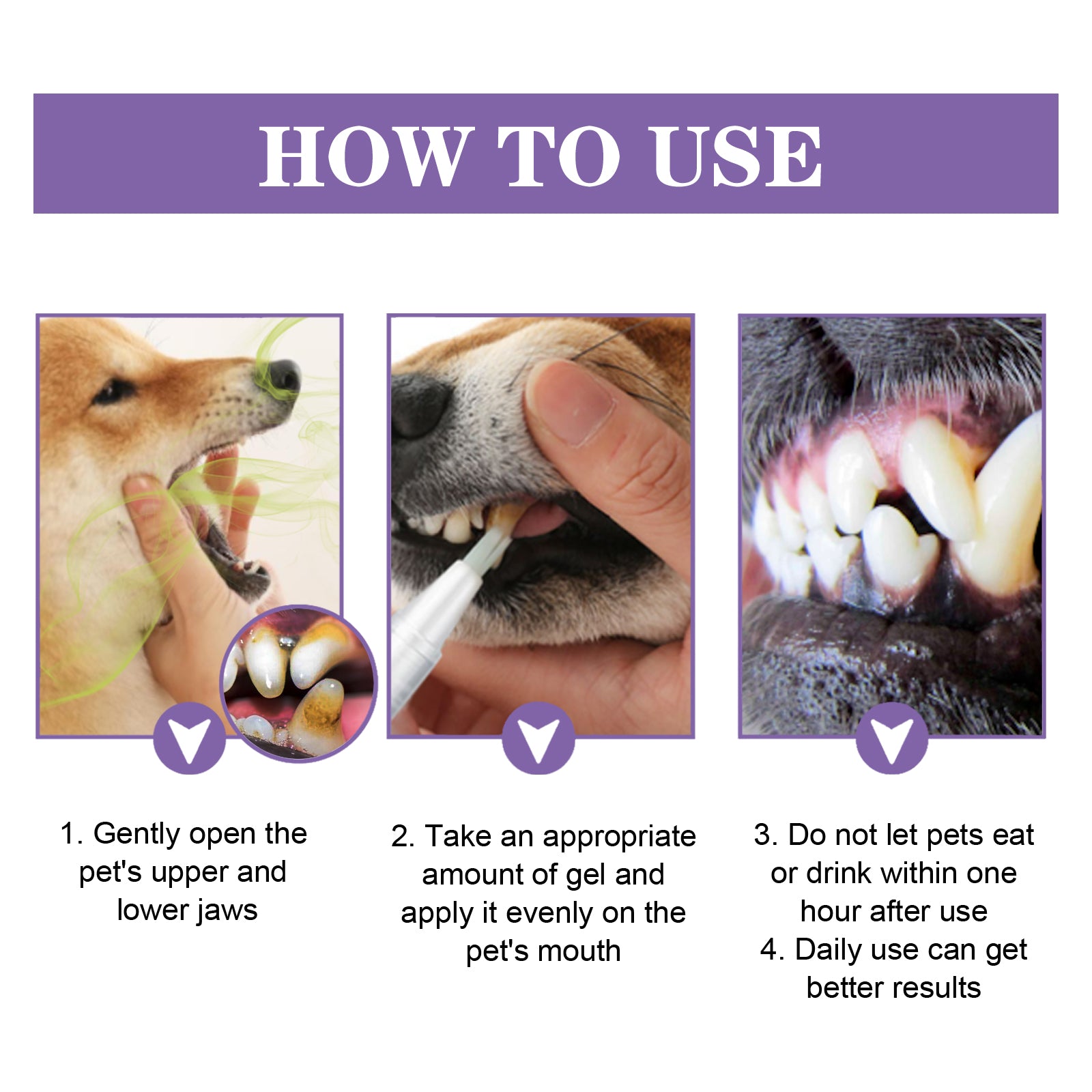 Instructions for using pet toothbrush for effective oral care for dogs and cats