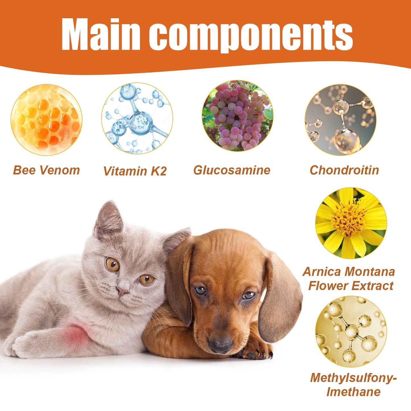 Main components for natural pet arthritis treatment including Bee Venom, Glucosamine, Chondroitin, and more