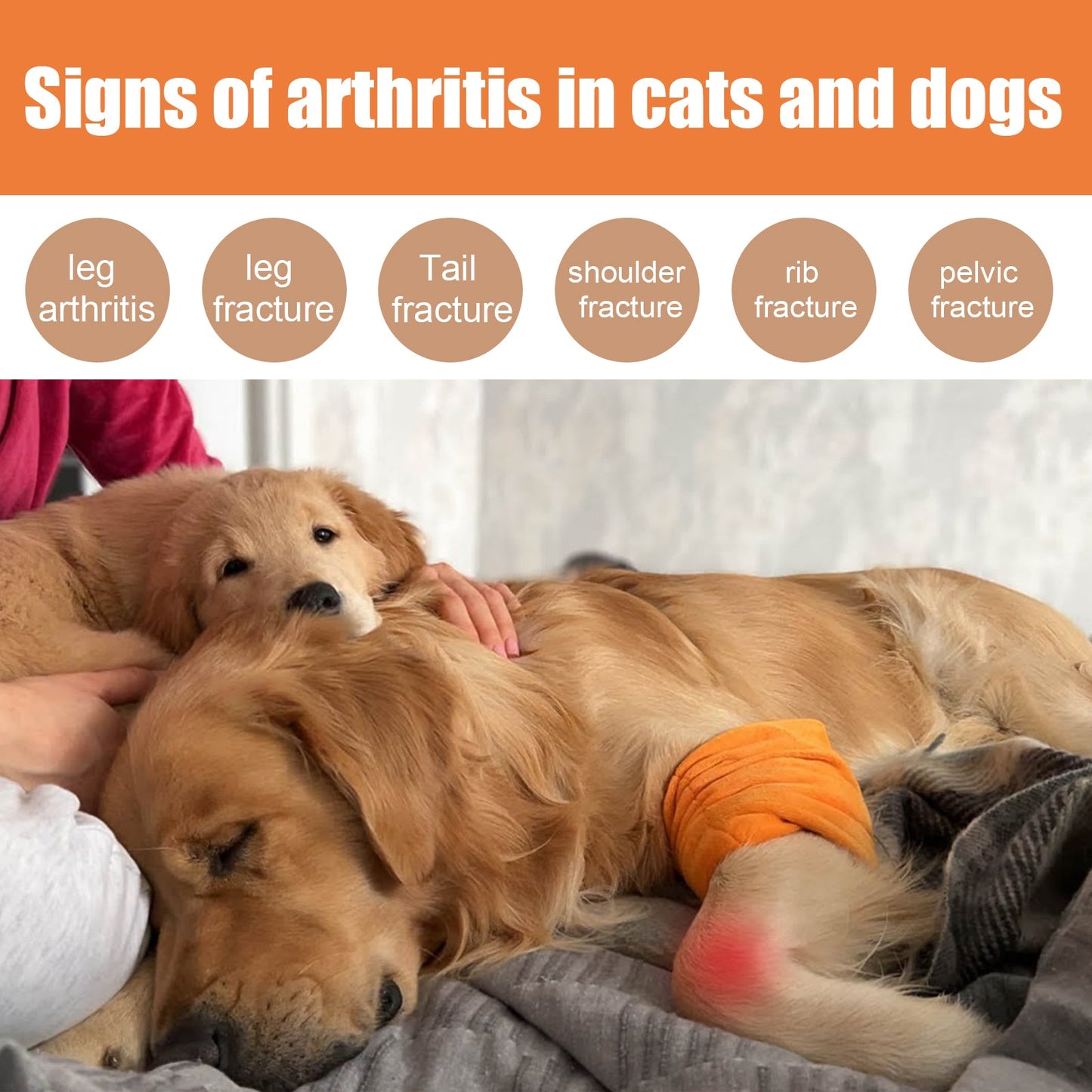 Natural pet arthritis treatment for dogs and cats showing signs of joint discomfort