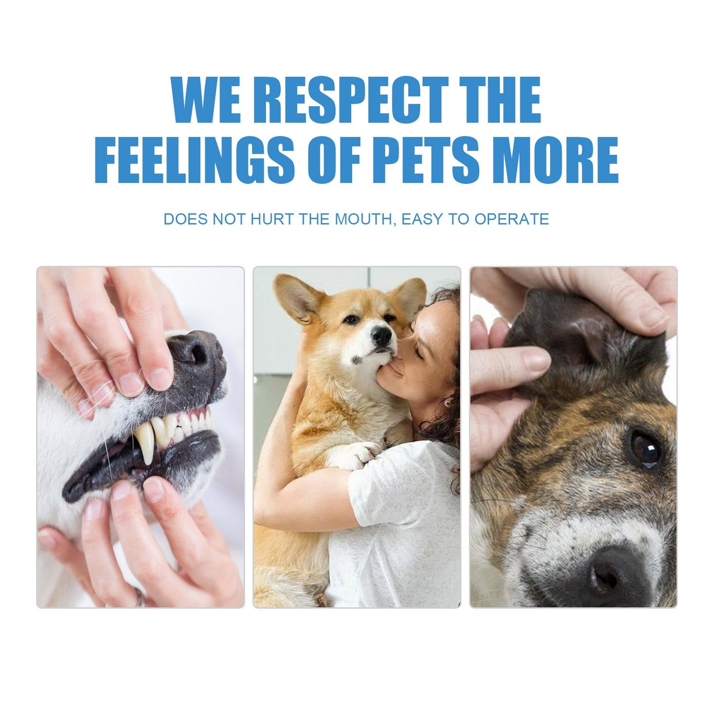 Tartar removal wipes for dogs shown in use, gently cleaning dogs' teeth and promoting oral care